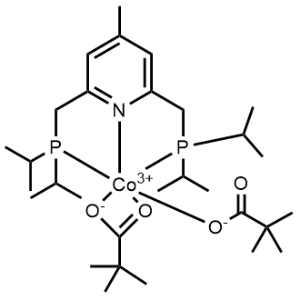 Bis[[diisopropylphosphino]methyl]-4-methyl-pyridine bis(pivaloyloxy)cobalt|CS-0642586