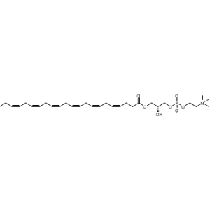 1-Docosahexaenoyl-sn-glycero-3-phosphocholine|CS-0643945