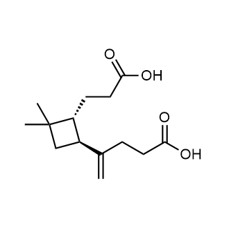β-Caryophyllinic acid|CS-0643966