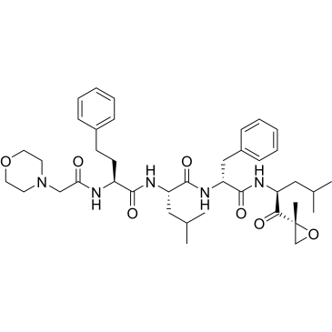 (αS)-α-[[2-(4-Morpholinyl)acetyl]amino]benzenebutanoyl-L-leucyl-N-[(1S)-3-methyl-1-[[(2R)-2-methyl-2-oxiranyl]carbonyl]butyl]-D-phenylalaninamide Carfilzomib impurity|CS-0644860