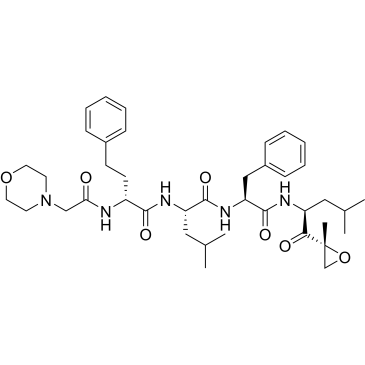 (αR)-α-[[2-(4-Morpholinyl)acetyl]amino]benzenebutanoyl-L-leucyl-N-[(1S)-3-methyl-1-[[(2R)-2-methyl-2-oxiranyl]carbonyl]butyl]-L-phenylalaninamide Carfilzomib impurity|CS-0644866