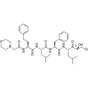 (αS)-α-[[2-(4-Morpholinyl)acetyl]amino]benzenebutanoyl-L-leucyl-N-[(1S,3S)-4-chloro-3-hydroxy-3-methyl-1-(2-methylpropyl)-2-oxobutyl]-L-phenylalaninamide(Carfilzomib impurity)|CS-0644870