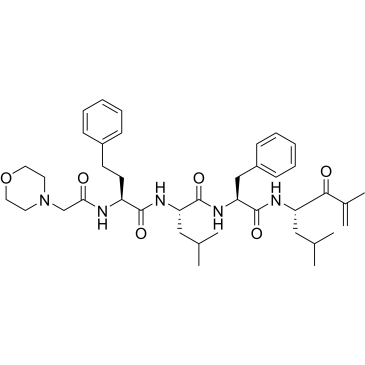 (αS)-α-[[2-(4-Morpholinyl)acetyl]amino]benzenebutanoyl-L-leucyl-N-[(1S)-3-methyl-1-(2-methylpropyl)-2-oxo-3-buten-1-yl]-L-phenylalaninamide(Carfilzomib impurity)|CS-0644902