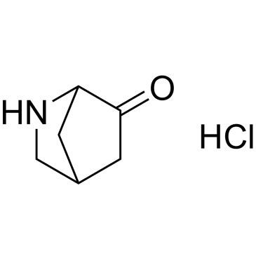 2-Azabicyclo[2.2.1]heptan-6-one hydrochloride|CS-0646704