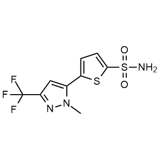5-[1-Methyl-3-(trifluoromethyl)-1H-pyrazol-5-yl]-2-thiophenesulfonamide|CS-0647674