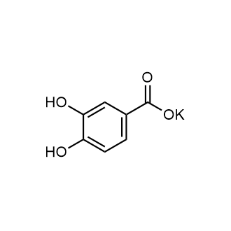 Protocatechuic acid potassium|CS-0648927