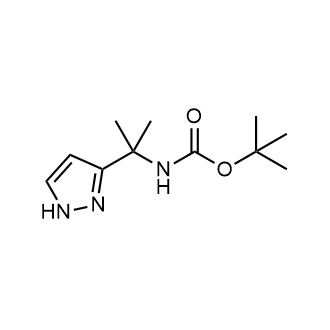 tert-Butyl (2-(1H-pyrazol-3-yl)propan-2-yl)carbamate|CS-0650690