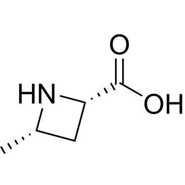 (2S,4S)-4-Methylazetidine-2-carboxylic acid|CS-0654726
