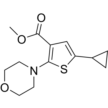 Methyl 5-cyclopropyl-2-morpholinothiophene-3-carboxylate|CS-0657632