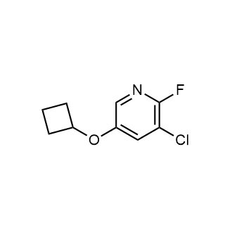 3-Chloro-5-cyclobutoxy-2-fluoropyridine|CS-0657853