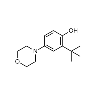 2-(tert-Butyl)-4-morpholinophenol|CS-0657866