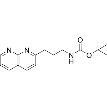 tert-Butyl (3-(1,8-naphthyridin-2-yl)propyl)carbamate|CS-0659431