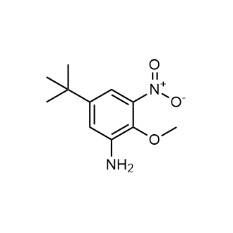 5-(tert-Butyl)-2-methoxy-3-nitroaniline|CS-0664720