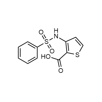 3-(Phenylsulfonamido)thiophene-2-carboxylic acid|CS-0664861