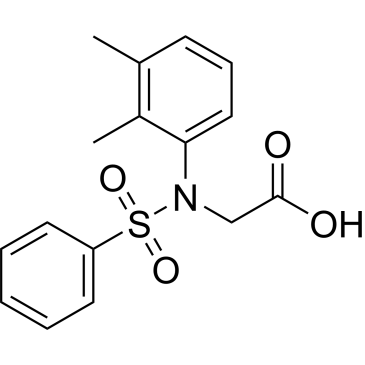 N-(2,3-Dimethylphenyl)-N-(phenylsulfonyl)glycine|CS-0665238