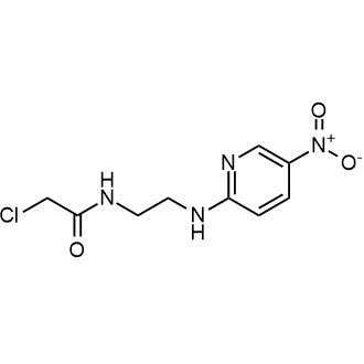 2-Chloro-n-(2-((5-nitropyridin-2-yl)amino)ethyl)acetamide|CS-0665397
