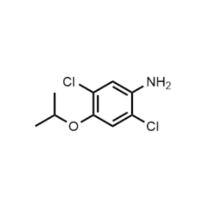 2,5-Dichloro-4-isopropoxyaniline|CS-0665895