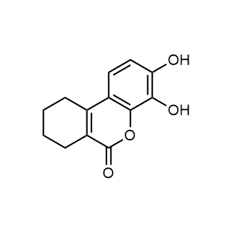 3,4-Dihydroxy-7,8,9,10-tetrahydro-6h-benzo[c]chromen-6-one|CS-0666310