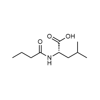 Butyryl-l-leucine|CS-0667383