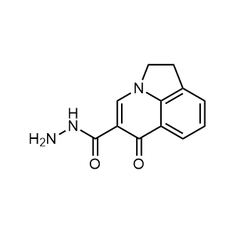6-Oxo-1,2-dihydro-6h-pyrrolo[3,2,1-ij]quinoline-5-carbohydrazide|CS-0667829