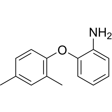 2-(2,4-Dimethylphenoxy)aniline|CS-0668314