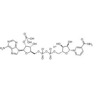 Nadp Monopotassium salt|CS-0669973