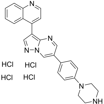 CS-0670