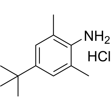 4-(tert-Butyl)-2,6-dimethylaniline hydrochloride|CS-0673514
