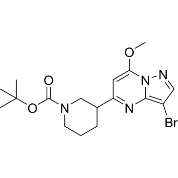tert-Butyl 3-(3-bromo-7-methoxypyrazolo[1,5-a]pyrimidin-5-yl)piperidine-1-carboxylate|CS-0677193