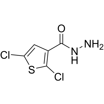 2,5-Dichlorothiophene-3-carbohydrazide|CS-0677742