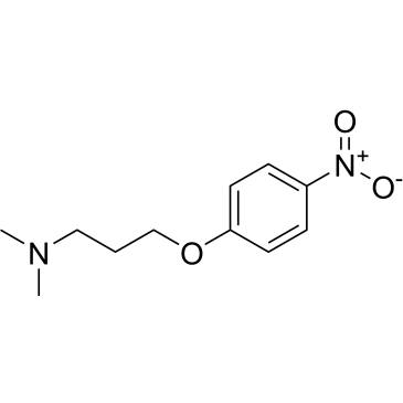 N,N-Dimethyl-3-(4-nitrophenoxy)propan-1-amine|CS-0678153