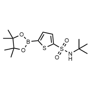 N-(Tert-butyl)-5-(4,4,5,5-tetramethyl-1,3,2-dioxaborolan-2-yl)thiophene-2-sulfonamide|CS-0679682