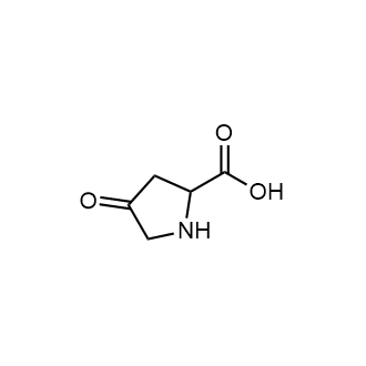4-Oxopyrrolidine-2-carboxylic acid|CS-0680444