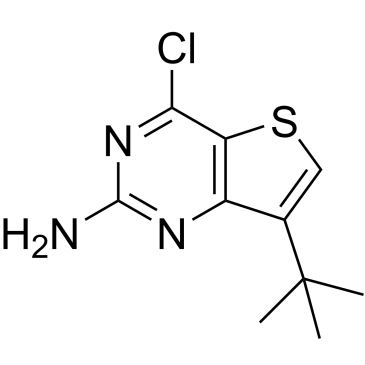 7-(tert-Butyl)-4-chlorothieno[3,2-d]pyrimidin-2-amine|CS-0680808