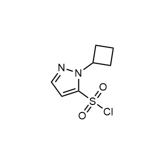 1-Cyclobutyl-1h-pyrazole-5-sulfonyl chloride|CS-0681135