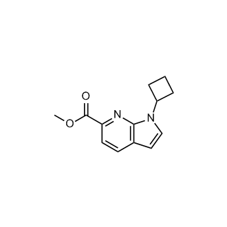 Methyl 1-cyclobutyl-1h-pyrrolo[2,3-b]pyridine-6-carboxylate|CS-0681321