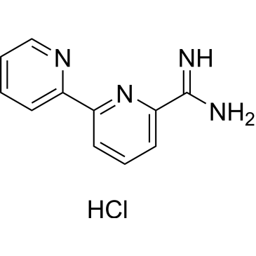 [2,2'-Bipyridine]-6-carboximidamide hydrochloride|CS-0682590