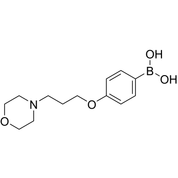 (3-(3-Morpholinopropoxy)phenyl)boronic acid|CS-0683386