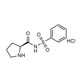 (s)-n-(Phenylsulfonyl)pyrrolidine-2-carboxamide hydrochloride|CS-0684405