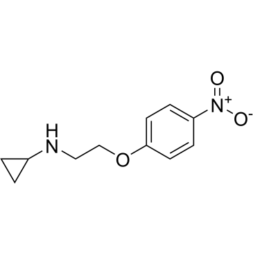 N-(2-(4-Nitrophenoxy)ethyl)cyclopropanamine|CS-0684575