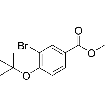 Methyl 3-bromo-4-(tert-butoxy)benzoate|CS-0686999