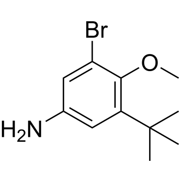3-Bromo-5-(tert-Butyl)-4-methoxyaniline|CS-0687167