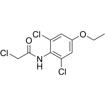 2-Chloro-n-(2,6-dichloro-4-ethoxyphenyl)acetamide|CS-0687499