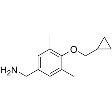 (4-(Cyclopropylmethoxy)-3,5-dimethylphenyl)methanamine|CS-0687643