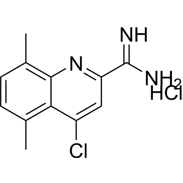 4-Chloro-5,8-dimethylquinoline-2-carboximidamide hydrochloride|CS-0688445