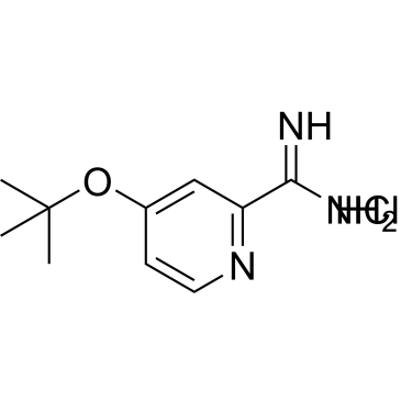 4-(Tert-butoxy)picolinimidamide hydrochloride|CS-0688471