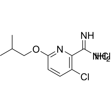 3-Chloro-6-isobutoxypicolinimidamide hydrochloride|CS-0688476