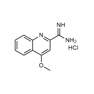 4-Methoxyquinoline-2-carboximidamide hydrochloride|CS-0688514