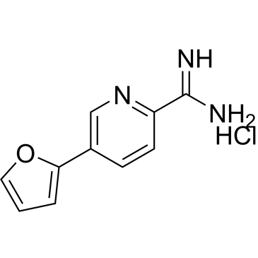 5-(Furan-2-yl)picolinimidamide hydrochloride|CS-0688525