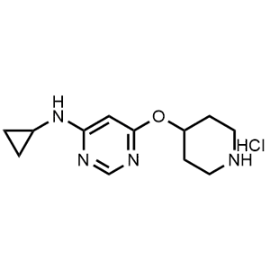 N-Cyclopropyl-6-(piperidin-4-yloxy)pyrimidin-4-amine hydrochloride|CS-0688792